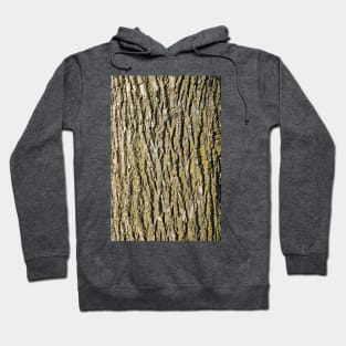 Tree Bark, Wood Grain for a Rustic Look Hoodie